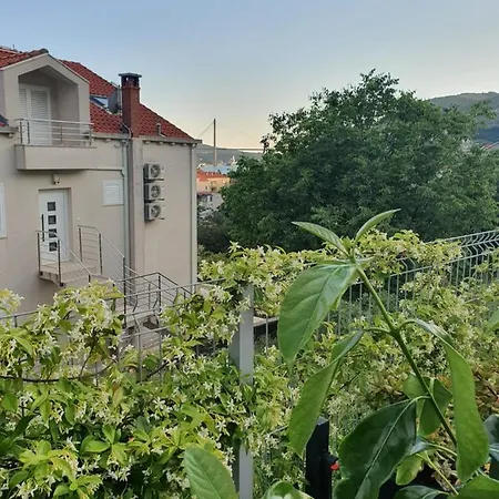 Rita Mokošica